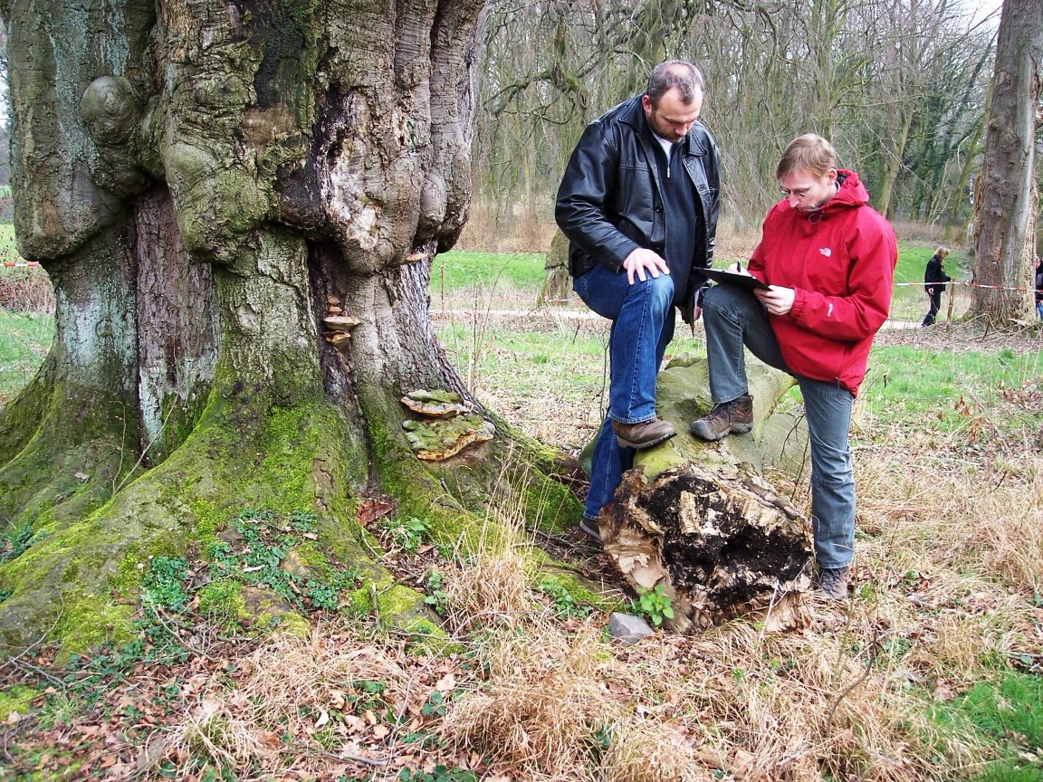 Baumberatung direkt am Baum mit Thomas Ludwig